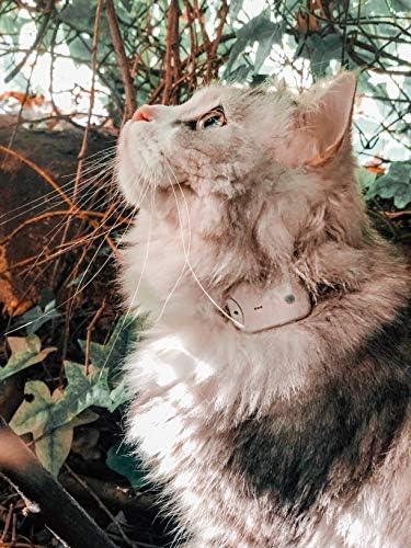 Pro-Track-tor - Ultra-Lightweight Cat Finder (ONLY 0.28oz) - No Monthly Fees - 1600ft Range RF Tracker - Works Where GPS Fails - Find Hidden Cats Anywhere