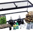 Tetra-Aquatic-Turtle-Deluxe-Kit-20-Gallons-aquarium-With-Filter.jpg