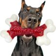 Tough-Dog-Toys-Toys-for-Aggressive-Chewers-Large-Breed-Chew.jpg