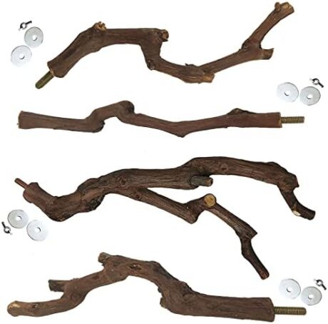 kathson Natural Parrot Perch Bird Stand Pole Wild Grape Stick Paw Grinding Fork Parakeet Climbing Standing Branches Toy Chewable Cage Accessories for Small Budgies Cockatiels Lovebirds 4PCS
