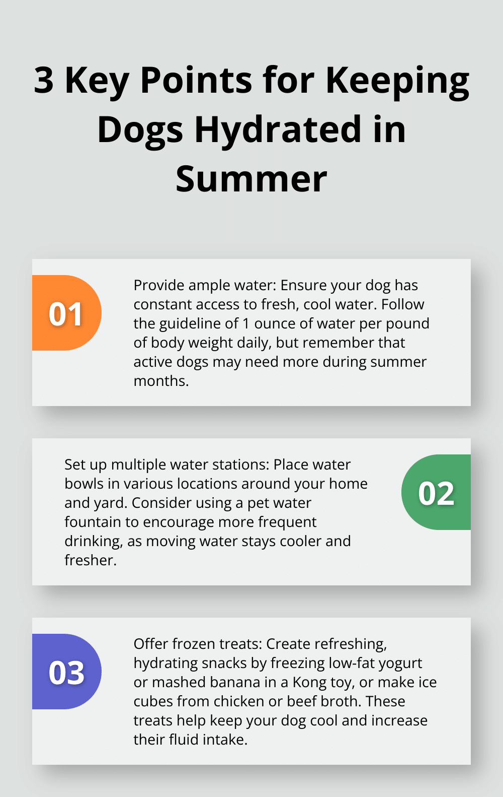 An ordered list chart presenting three important points about keeping dogs hydrated during hot weather. - summer dog safety tips
