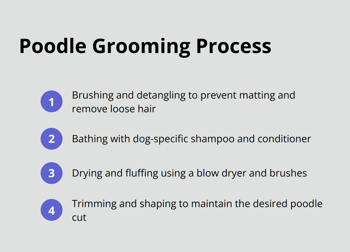 A list of four steps in the poodle grooming process: brushing and detangling, bathing, drying and fluffing, and trimming and shaping. - dog grooming tips for poodles