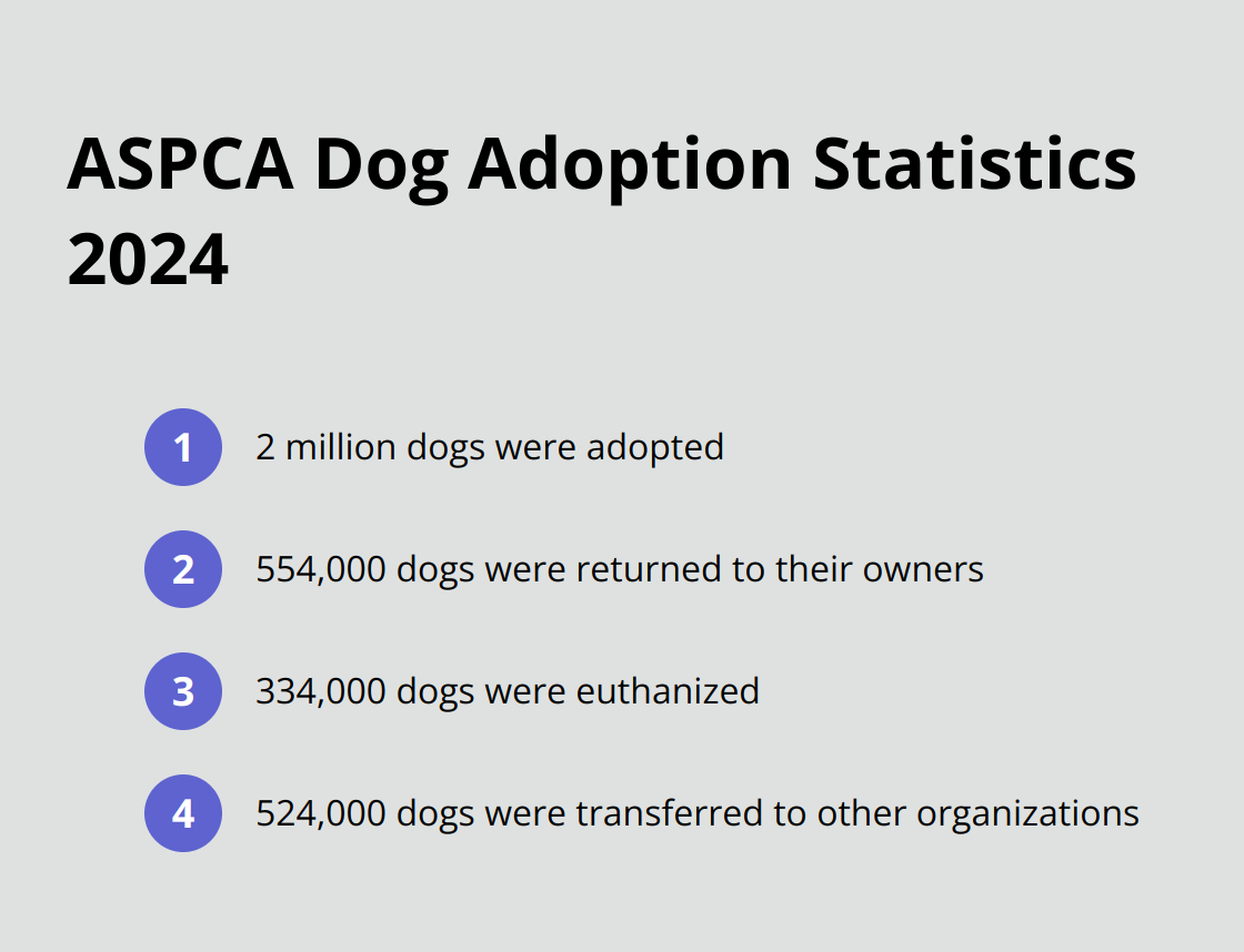 Ordered list chart showing ASPCA statistics on dog adoption outcomes in 2024
