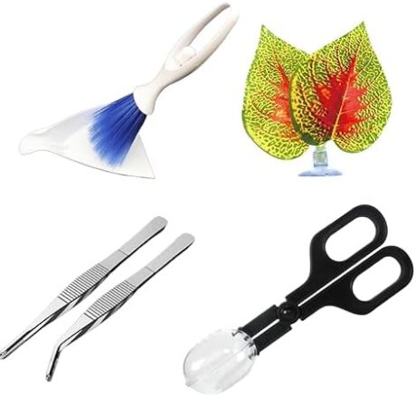 5Pcs Reptile Supplies Set, Include a Reptile Feeding Tongs, Two Stainless Steel Tweezers, Mini Dustpan, Brush and Leave for Hamsters, Turtle, Chameleon, Snake, Spider and Other Small Animals