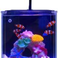 Betta-Nemo-Fish-Tank-Small-Aquarium-Starter-Kit-with-Filter.jpg