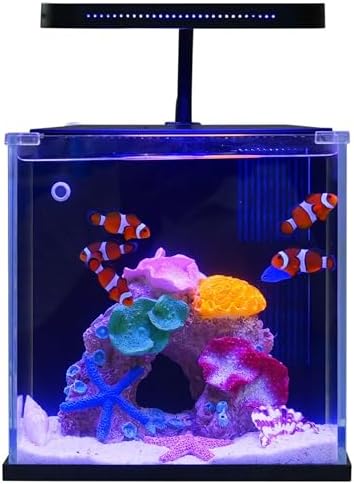 Betta Nemo Fish Tank Small Aquarium Starter Kit with Filter and Light Low Iron Ultra Clear Glass 2 Gallon (Saltwater Black)