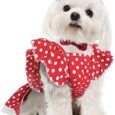 Chihuahua-Yorkie-Female-Dog-Sundress-Polka-Dot-Puppy.jpg