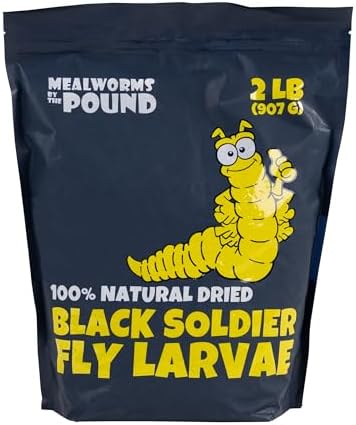 Dried Black Soldier Fly Larvae (2 lbs) - More Calcium Than Mealworms - Treats for Chickens, Wild Birds, & Reptiles