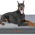 Extra-Large-Dog-Bed-Orthopedic-Waterproof-Easy-Clean-Non.jpg