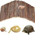 Hermit-Crab-Climbing-Toys-Wooden-Hermit-Crab-Hideout-Reptile-Tank.jpg