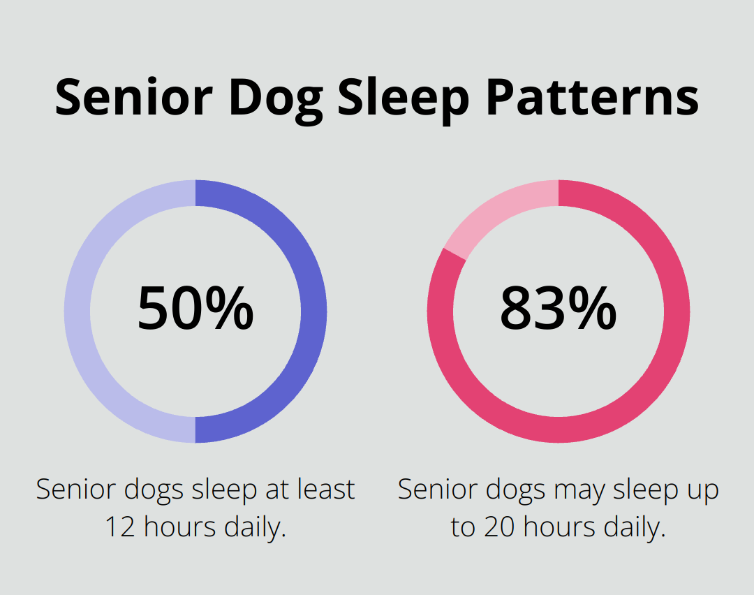 Chart showing that senior dogs sleep between 12 to 20 hours daily - good dogs for seniors to adopt