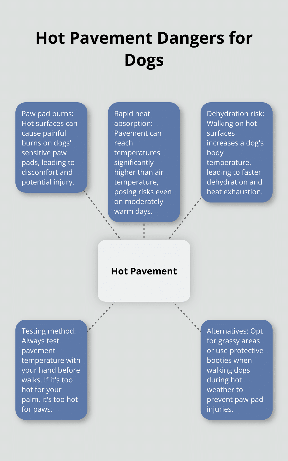 A hub and spoke chart illustrating the dangers of hot pavement for dogs, with 