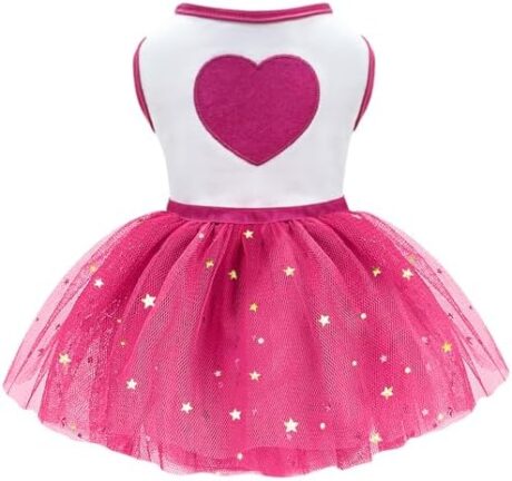 Idepet Spring Summer Pet Dog Cat Puppy Tutu Princess Dress Heart Printed Lace Dog Skirt Pet Apparel Dog Dress (Rose Red, M)