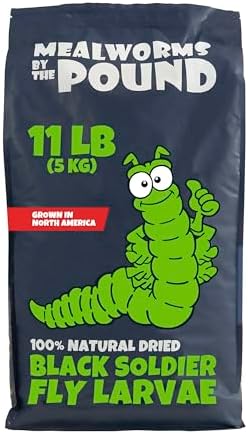 North American Grown Dried Black Soldier Fly Larvae (11 lbs) - More Calcium Than Mealworms - Treats for Chickens, Wild Birds, & Reptiles