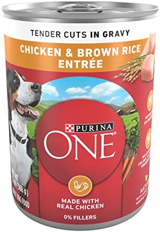 Purina ONE Tender Cuts in Wet Dog Food Gravy Chicken and Brown Rice Entree - (Pack of 12) 13 oz. Cans