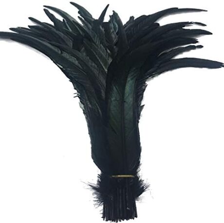 Shekyeon 16-18inch 40-45cm Rooster Coque Tail Feather for Costume Decoration Pack of 20 (Black)