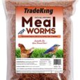 1-lb-Dried-Mealworms-High-Protein-Treat-for-Wild.jpg