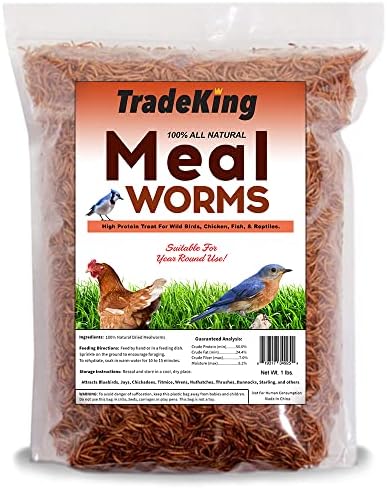 1 lb Dried Mealworms - High Protein Treat for Wild Birds, Chicken, Fish & Reptiles
