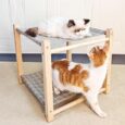 2-Layer-Cat-Hammock-Bed-for-Indoor-Cats-170×170-Big.jpg