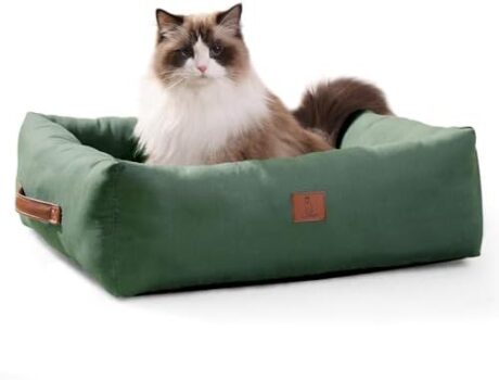 20In Dog Bed for Small Dogs & Cats - Washable Rectangle Cat Kitten Bed for Indoor Pets, Cozy Cute Puppy Bed with Non-Slip Bottom(Green, Small)