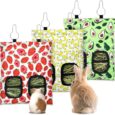 3-Pcs-Rabbit-Hay-Feeder-2-Hole-Hanging-Guinea-Pig-Hay.jpg