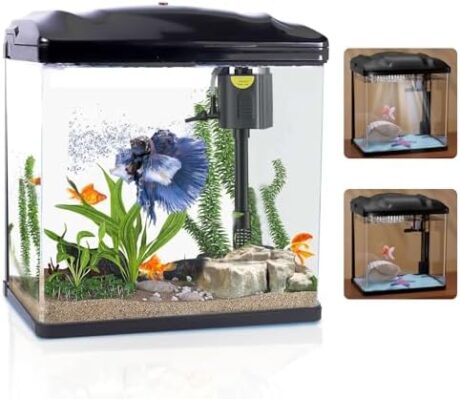 4 Gallon Betta Fish Tank,Small Fish Tank with Filter and LED Plant Light and Filter System, Betta Shrimp Guppy Jellyfish Starter Kit Self Cleaning Glass Aquarium