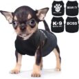 4-Pieces-Chihuahua-Clothes-Dog-Clothes-for-Small-Dogs-Boy.jpg