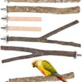 6-PCS-Natural-Wood-Bird-Perch-Parrot-Stand-Fork-Toys.jpg