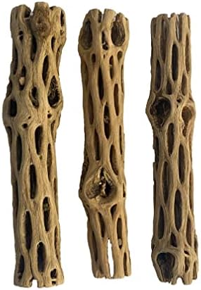 Awesome Aquatic Natural Cholla/Choya Wood 3 Pieces 6” for Shrimp Habitat and Food Treat Hermit Crabs Plecos Aquarium Decoration Lowers pH Hideouts and Chew Toys Reptiles Thorn Free Dried Organic