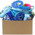 Beiker-20-Pack-Puppy-Chew-Toys-Blue-Dog-Teething.jpg