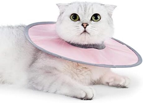 Cat Recovery Collar Cat Anti Licking Collar Cat Surgery Cat Cone Collar Adjustable Protective Neck After Surgery Comfortable Waterproof Lightweigh（Pink,XL