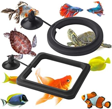 Cobee Fish Feeding Ring, 2-Piece Aquarium Fish Feeder - Circle Tank Accessories for Guppy, Bettas, Goldfish, Turtle (Black)