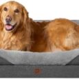 EHEYCIGA-Memory-Foam-XL-Dog-Bed-for-XLarge-Sized-Extra.jpg