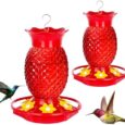 Glass-Hummingbird-Feeders-for-Outdoors-Hanging-Ant-and-Bee-Proof.jpg
