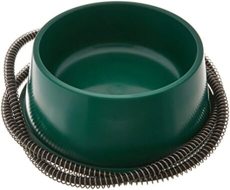 Green 25W Heated Pet Bowl (One Quart) by Farm Innovators