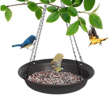 Hanging Bird Feeder with Hole, Platform Flat Bird Seed Tray for Outdoors, Cardinal, Blue Jay, Crow, Birdfeeders Outside Hanging, Wild Small Large Bowl Feeders for Garden (14", Black)