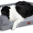 Hollypet-Orthopedic-Dog-Bed-for-Large-Dogs-Supportive-Foam-Pet.jpg