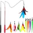 Interactive-Cat-Toys-Retractable-Wand-Toy-and-Feather-Toys.jpg