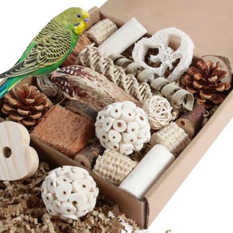 Kyouki Bird Toys Parrot Toys Natural Bird Foraging Box Foot for Parakeets,Cockatiels,Conures,Love Birds,and Other Small to Medium Birds (Medium)