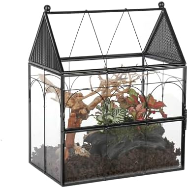 NCYP Glass Enclosure with Vent Holes for Insect, Jumping Spiders, Snails - 7.5" x 4.9" x 9" Small Closed Front Opening Door Succulent Terrarium - House Shape Habitat, Home Decor Black (No Plants)