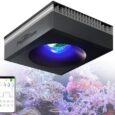 PopBloom-RL90-Reef-LED-Light-100W-LED-Aquarium-Light-Full.jpg