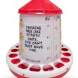 Strombergs-Chicken-Emoji-Poultry-Feeder-9-lb-Translucent-Plastic-Easy.jpg
