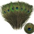 THARAHT-60pcs-Peacock-Feather-Natural-in-Bulk-10-12-inch-25-30cm.jpg