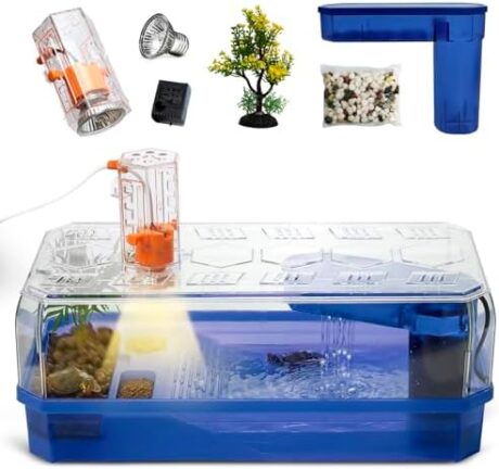 Turtle Tank Habitat, Acrylic Aquatic Tortoise Aquarium Starter Kit with Multi-Function Area, UV Basking Platform Light Lamp, Water Pump Filter, Bottom Drainage Plug for Small Reptile Hermit Crab Fish