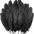 UNEEDE-120Pcs-6-8-Inch-Black-Feathers-Natural-Goose-Feathers-for.jpg