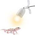 300W-Reptile-Lamp-Socket-360°-Rating-Heat-Light-Holder-Kit.jpg