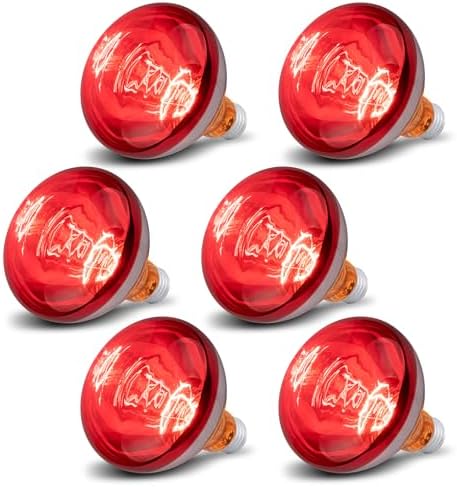 6 Pack 250W Heat Lamp Bulbs for Chicks, R40 Brooder Heat Lamp for Chickens, Infrared Reflector Heating Bulbs, Incandescent Heat for Pet, Light Therapy, Bathroom, Food