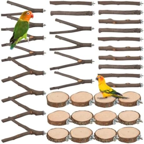 9 PCS Natural Wood Bird Perch, Wooden Parrot Perch Stand Bird Cage Branches Platform Accessories for Parakeets Cockatiels Conures Macaws Finches Love Birds