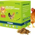 Amzey-Dried-Black-Soldier-Fly-LarvaDried-Mealworms-2-LBS-100.jpg