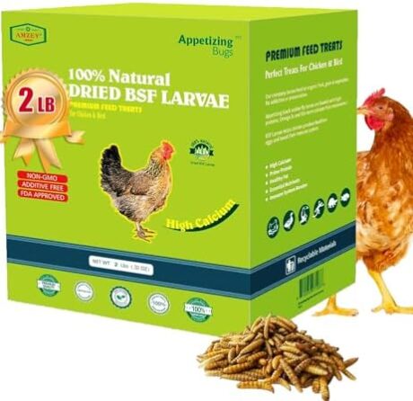 Amzey Dried Black Soldier Fly Larva/Dried Mealworms -2 LBS- 100% Natural BSF Larvae - 85XMore Calcium Than Mealworms - High Calcium Treats for Chickens, Birds, Reptiles, Hedgehog, Geckos, Turtles